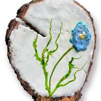 Flower for John